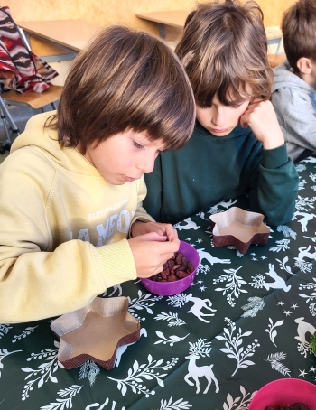 Skan_20251127-1641-07