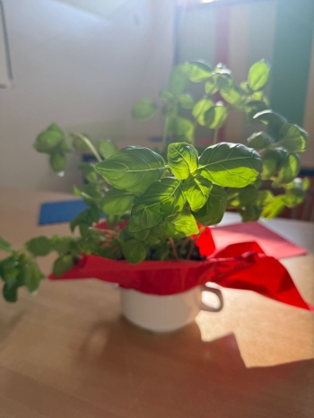 ae416060-23a8-49ed-9cda-fbc596f0d66b