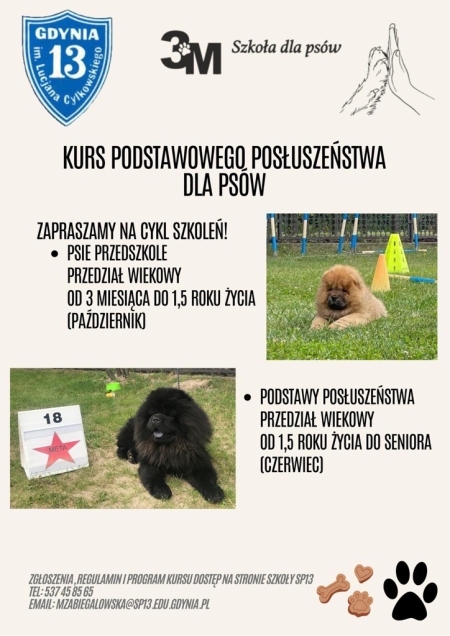 Zapraszamy na cykl szkoleń z psiego posłuszeństwa. 