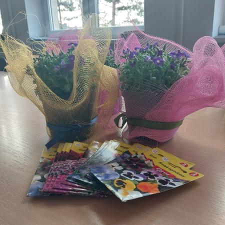 Wiosna buchnęła kwiatami!