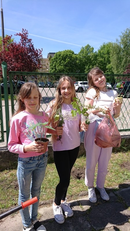 Sadzenie drzewek przez uczniów klas czwartych